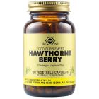 SOLGAR HAWTHORNE BERRY 520MG 100VCAP