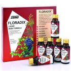 Power Health Floradix Τονωτικό Συμπλήρωμα Διατροφής Με Ειδικά Εκχυλίσματα Φρούτων Σίδηρο & Βιταμίνες 10x20ml