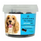 Power Health Fleriana Pet Vitamins Arthro-Vit Πολυβιταμίνες Σκύλου 20 Mασώμενα Ζελεδάκια