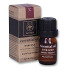 Apivita Essential Oil Cinnamon Αιθέριο Έλαιο Κάνελλα, 5ml
