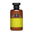 APIVITA GENTLE DAILY SHAMPOO ΑΠΑΛΟ ΣΑΜΠΟΥΑΝ ΚΑΘΗΜΕΡΙΝΗΣ ΧΡΗΣΗΣ ΜΕ ΧΑΜΟΜΗΛΙ ΚΑΙ ΜΕΛΙ 250ML