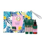 Fresh Line Promo Pack Ερατώ με Σαμπουάν 75ml + Conditioner 75ml + Serum για Ταλαιπωρημένα Μαλλιά 100ml + Δώρο Νεσεσερ 