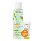 A-Derma Promo Exomega Control Anti-Scratching 2in1 Μαλακτικό Τζελ Καθαρισμού 500ml + Δώρο Μαλακτική Κρέμα Κατά του Αισθήματος Κνησμού 50ml