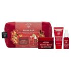 Apivita Beevine Elixir Promo Wrinkle & Firmness Lift Cream Rich Αντιρυτιδική Κρέμα για Σύσφιξη & Lifting Πλούσιας Υφής 50ml + Δώρο Night Cream Κρέμα Νύχτας Εντατικής Επανόρθωσης & Lifting 15ml + Firming Activating Lift Serum Ορός Προσώπου 10ml