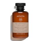 Apivita Dry Dandruff Shampoo Σαμπουάν κατά της Ξηροδερμίας με Σέλερι & Πρόπολη 250ml
