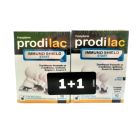 Frezyderm Prodilac Immuno Shield Start 10 Φακελάκια 1+1