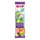 Hipp Bio Παιδική Μπάρα Dragon με Γκουάβα και Αρώνια από 3+ Ετών 30g