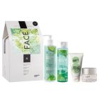 Medisei Panthenol Extra Gift Away Face Cleansing Milk 3in1 250ml, Detox Tonic Lotion 200ml, Green Clay Facial Mask 75ml & Face & Eye Cream 50ml