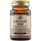 Solgar Lactase 3500 30 μασώμενα δίσκια