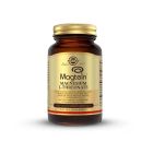 Solgar Magtein Magnesium L-Threonate 60 Φυτικές Κάψουλες