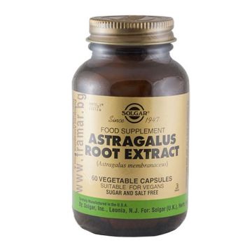 Solgar Astragalus Root Extract Συμπλήρωμα Διατροφής για Θωράκιση Ανοσοποιητικού & Ενίσχυση Αντοχής σε Περιπτώσεις Στρες & Άσκησης, 60veg.caps