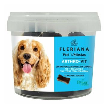 Power Health Fleriana Pet Vitamins Arthro-Vit Πολυβιταμίνες Σκύλου 20 Mασώμενα Ζελεδάκια