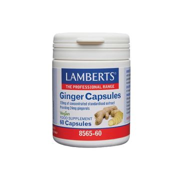 Lamberts Ginger Capsules 120 mg 60 caps
