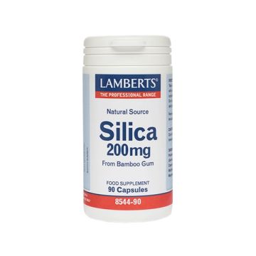 Lamberts Silica 200 mg 90 caps
