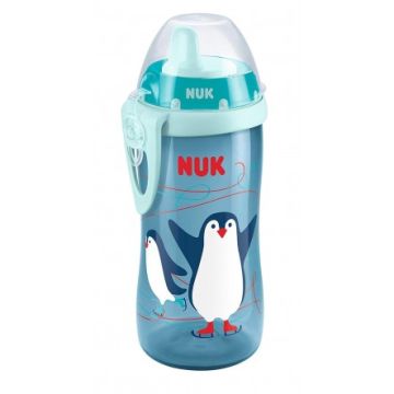 NUK ΠΑΓΟΥΡΑΚΙ ΜΕ ΡΥΓΧΟΣ CUP 300ML